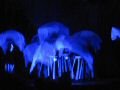 rhythmical2005161.jpg